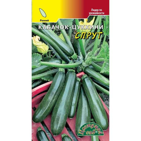 Кабачок Спрут ЦветСад Ц