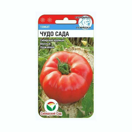 Семена Томат Чудо Сада Сибирский Сад