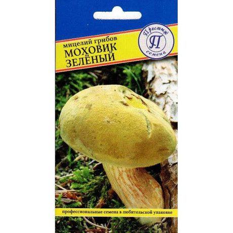 Мицелий Моховик зеленый Престиж