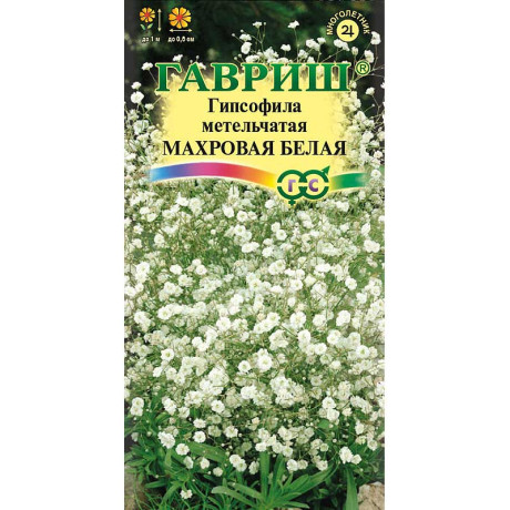 Гипсофила Махровая белая Гавриш Ц