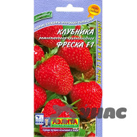 Земляника Фреска ремонтантная крупнопл  Аэлита Цx10