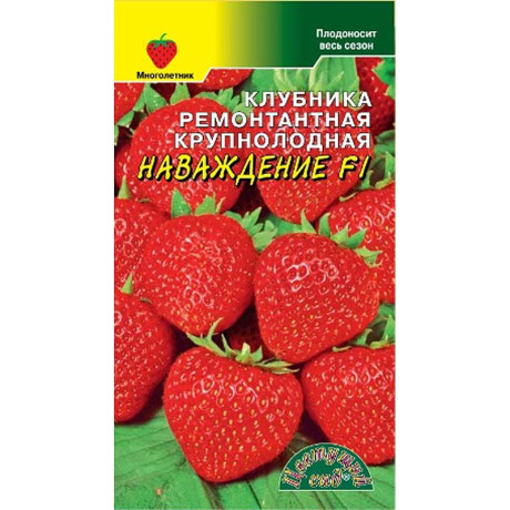 Клубника Наваждение ЦветСад Ц