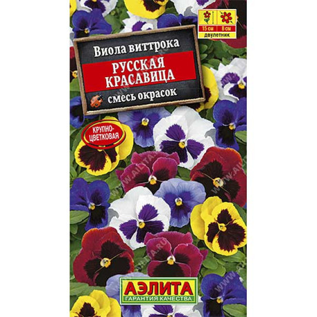 Виола Русская красавица Аэлита Ц