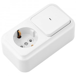 Bylectrica Пралеска блок (роз. 16А + 1 кл. выкл. 10А) ОУ бел. (земля, инд.) В-РЦ-567