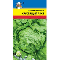 Семена Салат Хрустящий лист урожай у дачи Ц