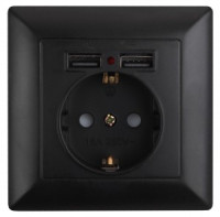 ЭРА Intro Solo роз. СУ 1 мест. земля штор, 16А+2хUSB, антрацит 4-410-05 53717