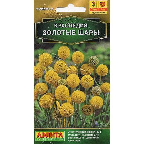Семена Краспедия Золотые шары Аэлита Ц