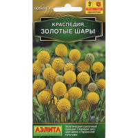 Семена Краспедия Золотые шары Аэлита Ц