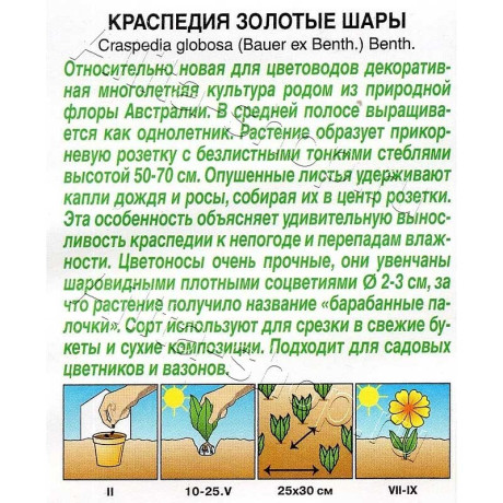 Семена Краспедия Золотые шары Аэлита Ц