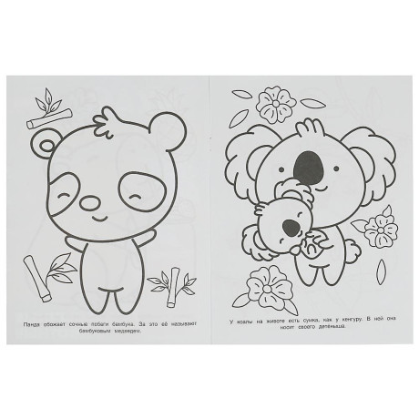 УМКА Раскраска "Чудо-раскраска", бумага, 21,4х29 см, 8 стр., 10 дизайнов