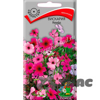 Вискария Нимфа Поиск Ц