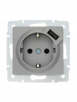 Lezard VESNA мех. роз. земля СУ 1 мест. 16А+USB 2.1А платина (корп. ABS) 742-3588-181