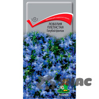 Лобелия Голубой фонтан Поиск Ц