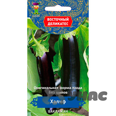 Баклажан Халиф Поиск Ц
