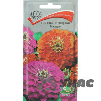 Циния Мистерия изящная Поиск Ц