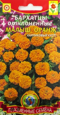 Бархатцы Малыш Оранж Плазма Ц