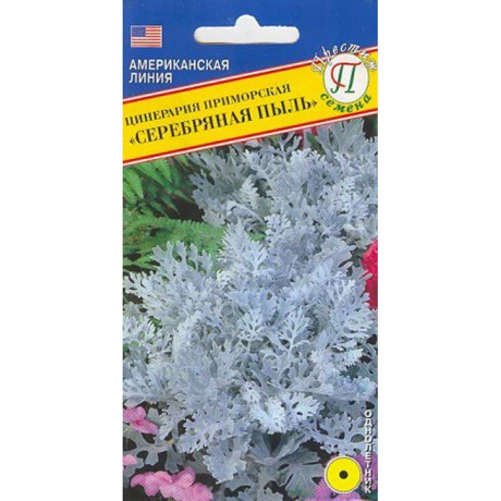 Цинерария Серебряная пыль Престиж Ц