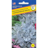 Цинерария Серебряная пыль Престиж Ц