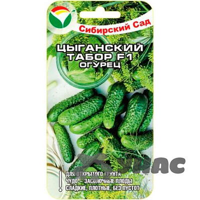 Огурец Цыганский табор СибСад Ц