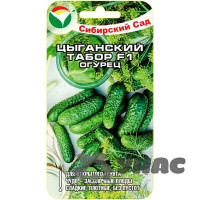 Огурец Цыганский табор СибСад Ц