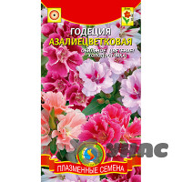 Годеция азалиецветковая смесь Плазма Ц
