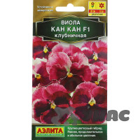 Виола Кан-кан клубничная Аэлита Ц