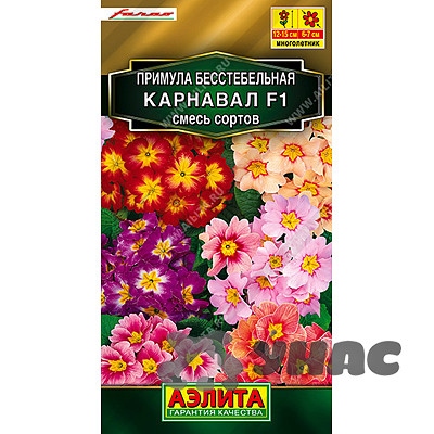 Примула Карнавал Аэлита Ц