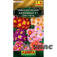 Примула Карнавал Аэлита Ц