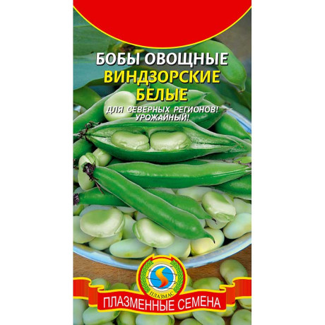 Бобы Виндзорские белые  Плазма Ц