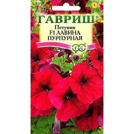 Петуния Лавина Пурпурная Гавриш Ц