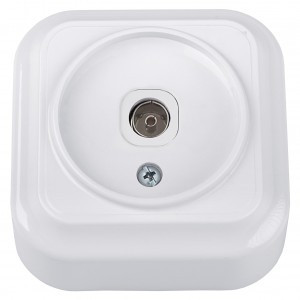 Bylectrica Вариант роз. TV ОУ (корп. ABS) белый ТР-5141