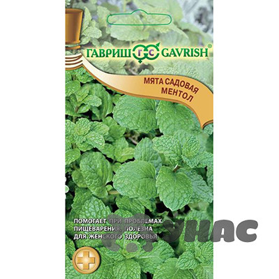 Мята садовая Ментол Гавриш Ц
