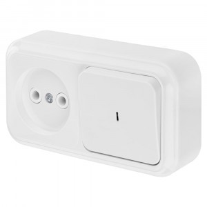 Bylectrica Пралеска блок (роз. 16А + 1 кл. выкл. 10А) ОУ бел. (инд.) В-РЦ-563