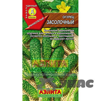 Огурец Засолочный Аэлита Ц