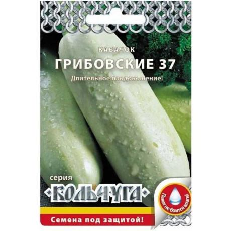 Кабачок Грибовский "Кольчуга" НК