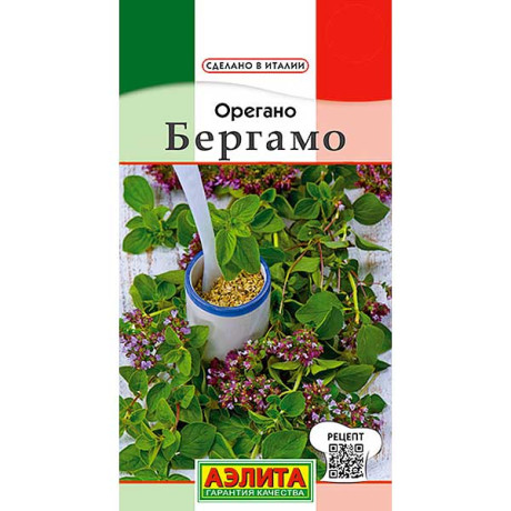 Орегано Бергамо Аэлита Ц