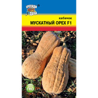 Семена Кабачок Мускатный орех Урожай у дачи Ц