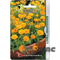 Календула Мандарин Твист Биотехника Ц