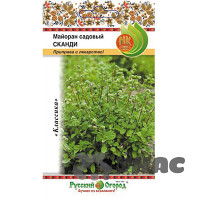 Майоран Сканди НК Ц