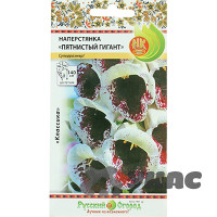 Наперстянка Пятнистый гигант НК Ц