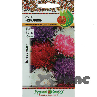 Астра Краллен (смесь) НК Ц