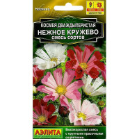 Семена Космея Нежное кружево Аэлита Ц