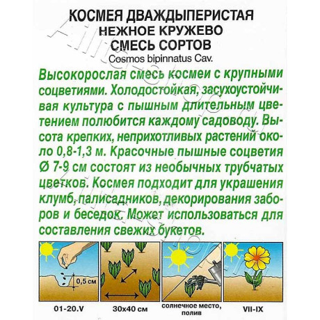 Семена Космея Нежное кружево Аэлита Ц