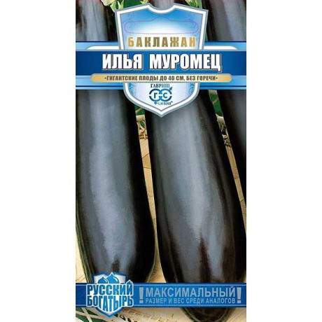 Баклажан Илья Муромец  Гавриш Ц