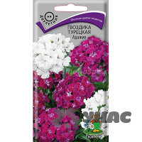 Гвоздика Турецкая Адажио Поиск Ц