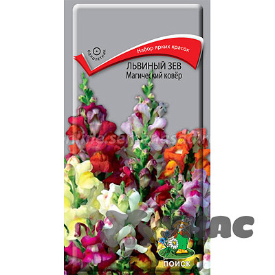 Львиный зев Магический ковер Поиск Ц