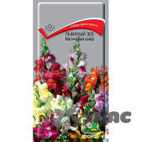 Львиный зев Магический ковер Поиск Ц