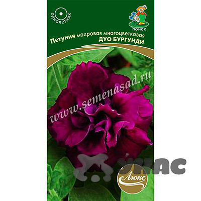 Петуния Дуо Бургунди махр. Поиск Ц