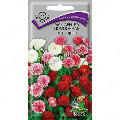 Маргаритка Помпонная смесь Поиск Ц