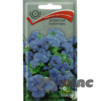 Агератум Голубая норка Поиск Ц